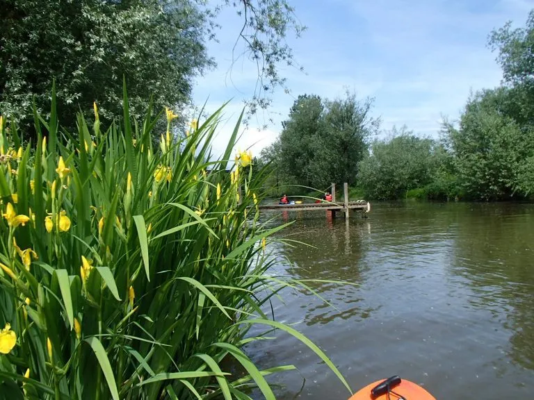 kayak ljubljanica