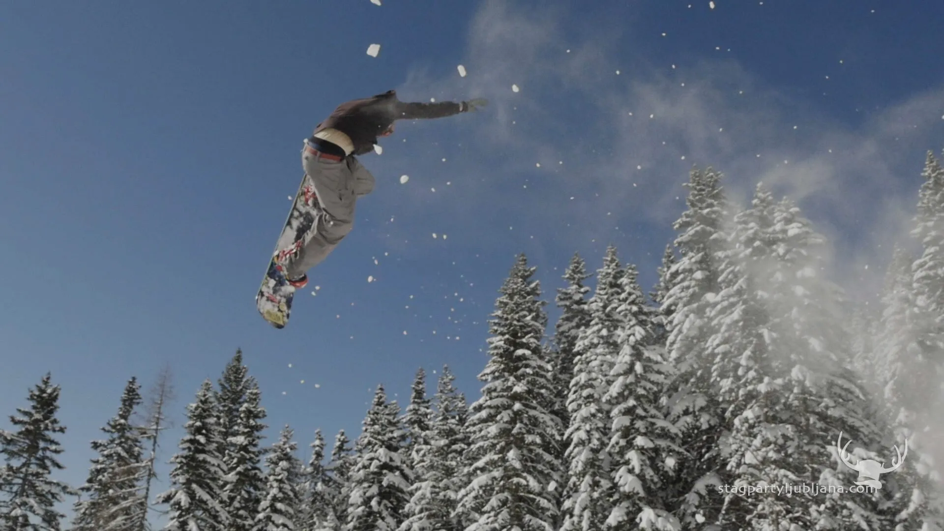 stag skiing krvavec