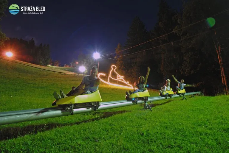 Sommer Schlittenfahren Hirsch tun blutete